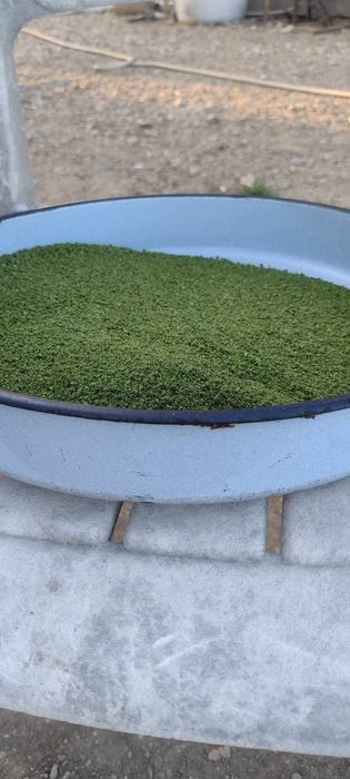 Нова реколта 2025г.Цена 16лв.кг.