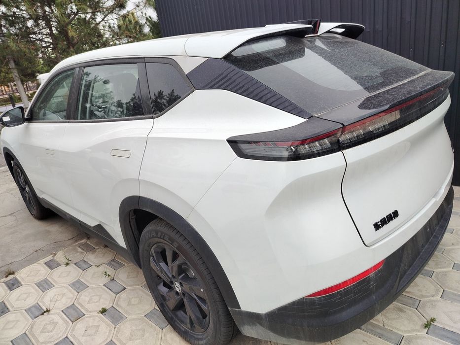 DONGFENG sky ev 01