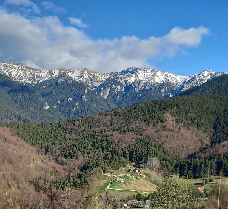 Cazare la Bran-Casa Ionut