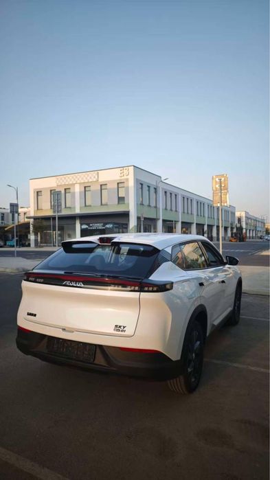 Dongfeng sky 01 445km