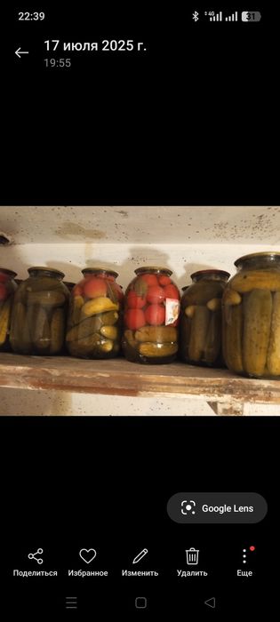 Продаю солёные огурцы, помидоры