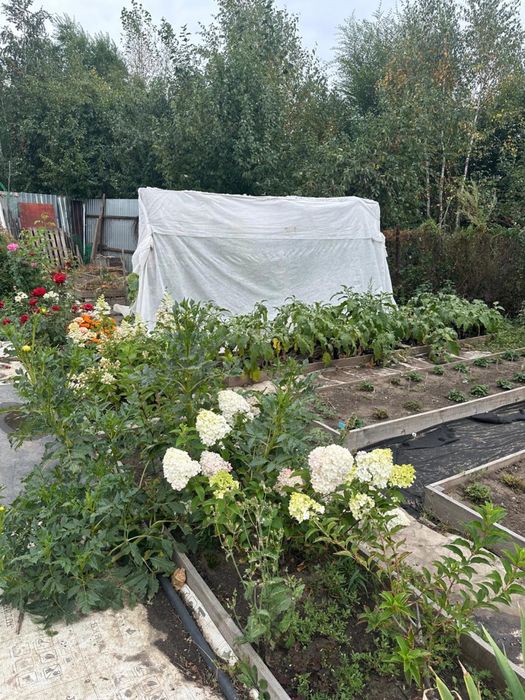 Продам дачу в СО Садовод