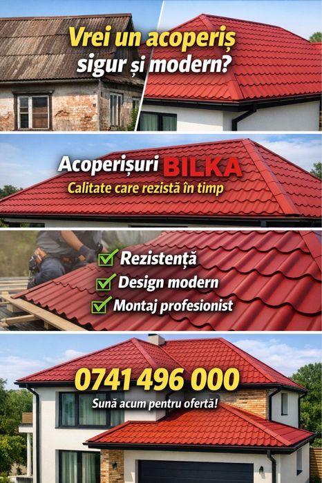 Acoperisuri si reparatii