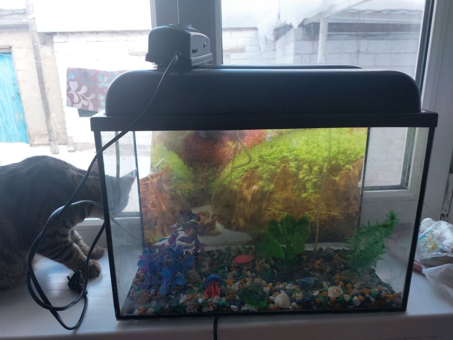 Продам продам аквариум