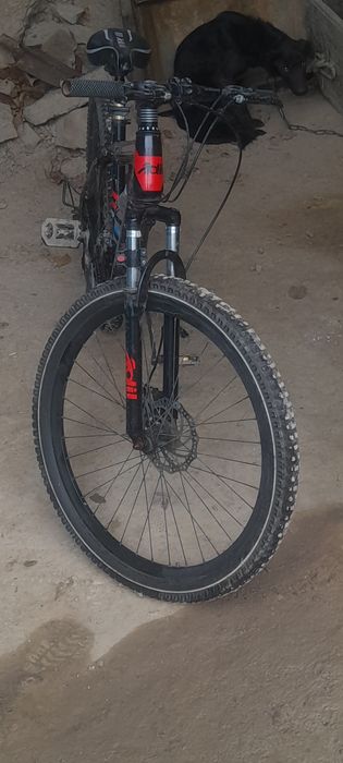 Velosiped 26'r'30mc Adil 8 skorst