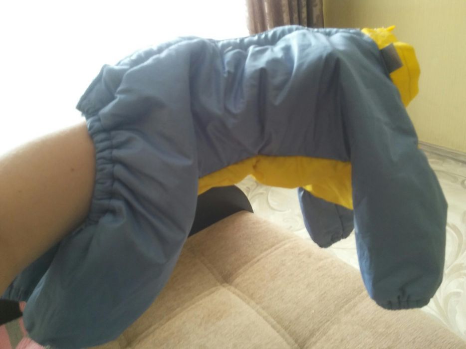 Продам комбинезон для собаки