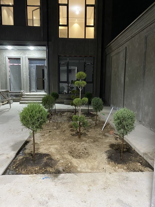 Lanshaf gazon bosish archa kesish xizmatlari bor
