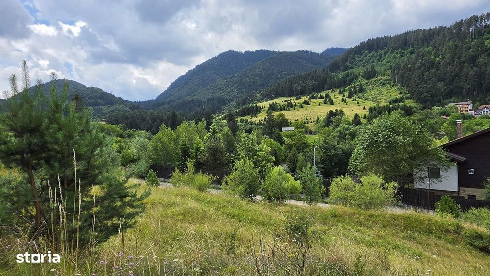 Teren intravilan cu vedere panoramica Sacele, Brasov