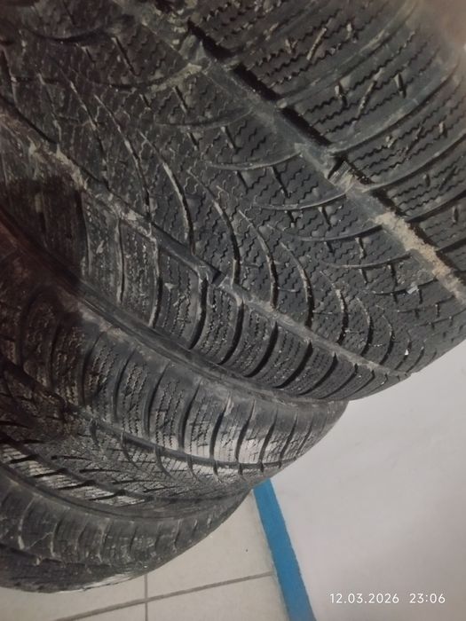 Зимние шины Triangle 225/55/R17