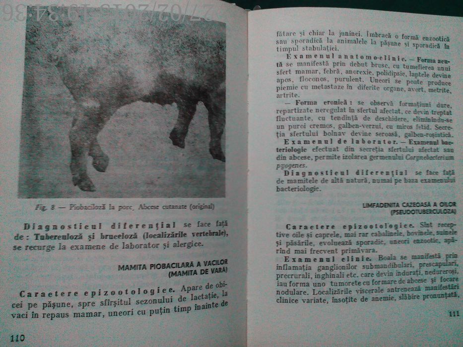 Ghid De Diagnostic în Bolile Infecţioase Ale Animalelor,M. Pop, ,1981