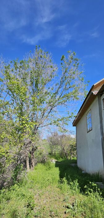 Продам дачу в Тураре