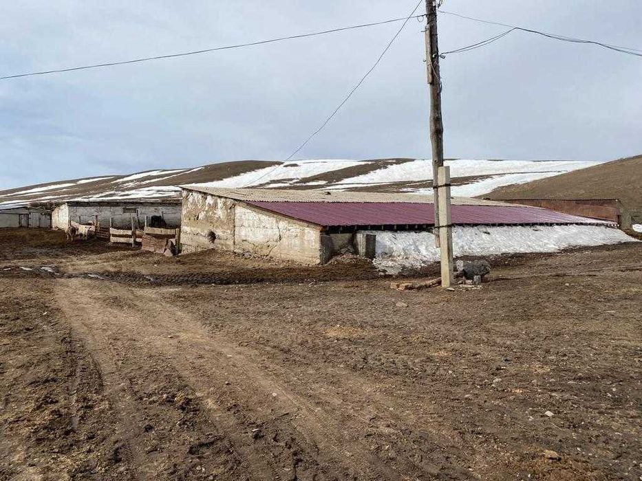 Продам Крестьянское хозяйство