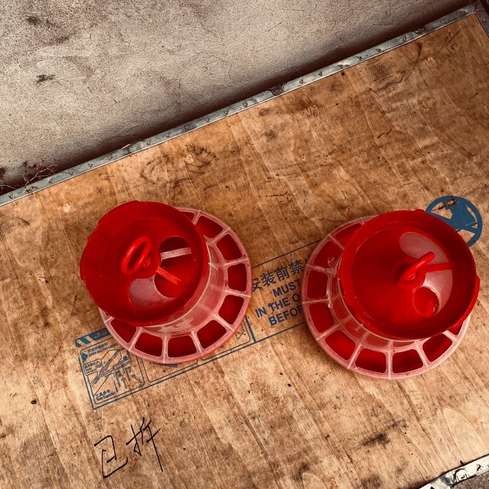 Кормушки для птиц