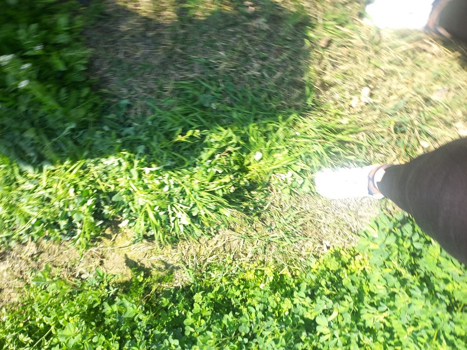 Продаётся дом с огородом