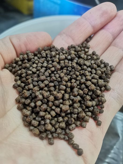 Granule plutitoare pesti 2,5 mm