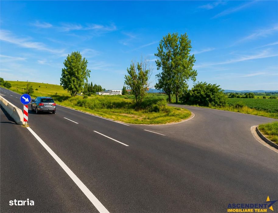 22.500mp oportunitate investitie, teren cu vizibilitate la DN1 E68, Co