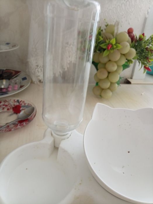 Чашки для кошки с автоналивайкой