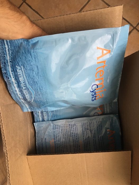 Oua de Artemia umeda si koral -incubare hrana pesti exotici de acvariu