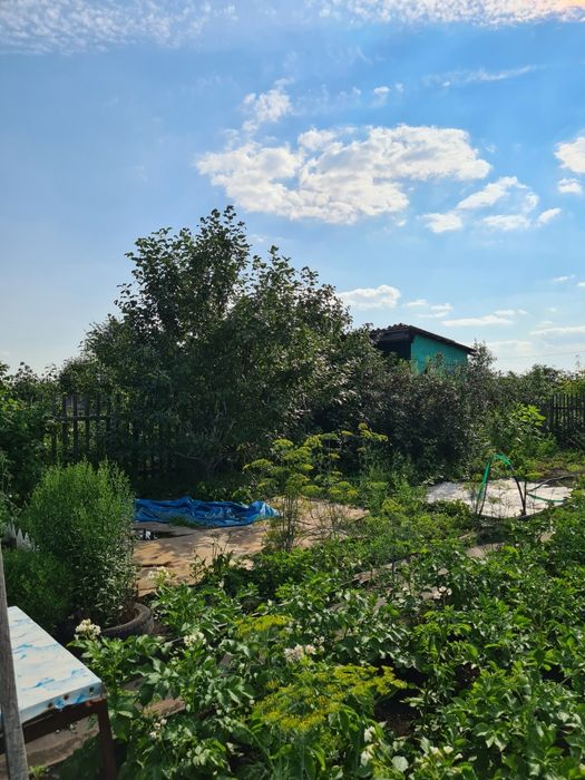 Продам дачу в дачном обществе Ромашка