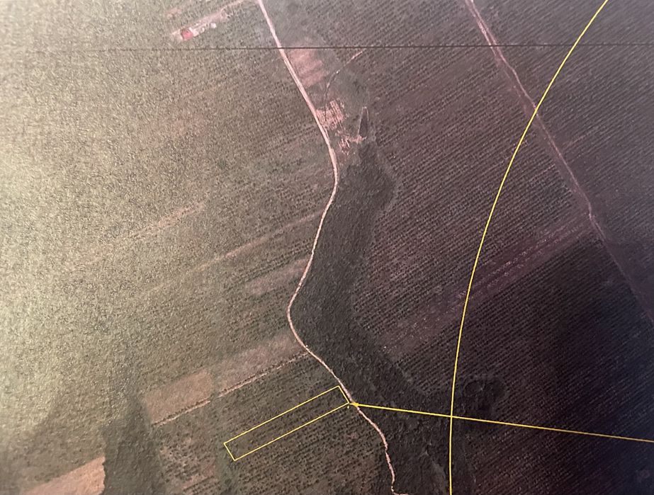 Teren parcelabil construibil intravilan Smeura - strada Prunilor