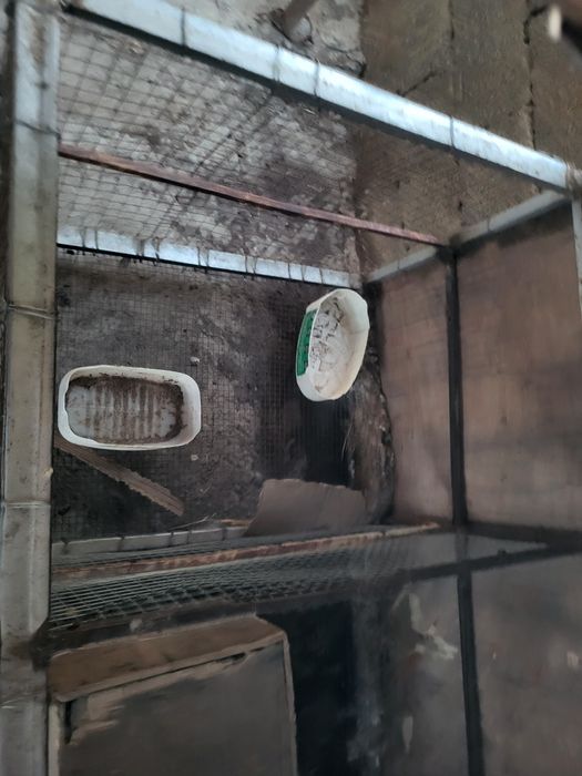 Клетка для кролика