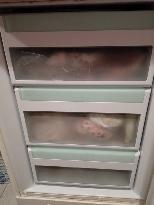 Хладилник с фризер Ariston