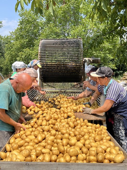 Машина за миене на картофи