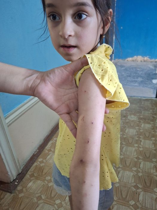 Dezinfeksiya Navoiy 24/7 — Kafolatli Litsenziya bor