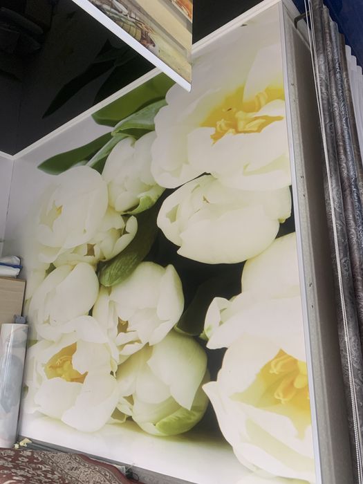 натяжные потолки  3D fotooboi