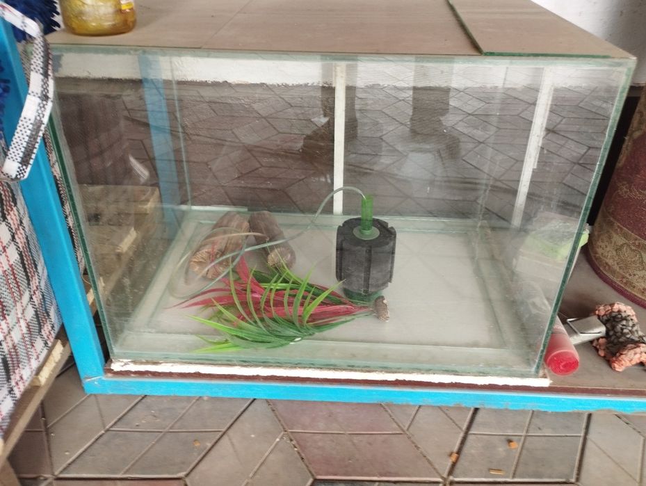 250литров аквариум