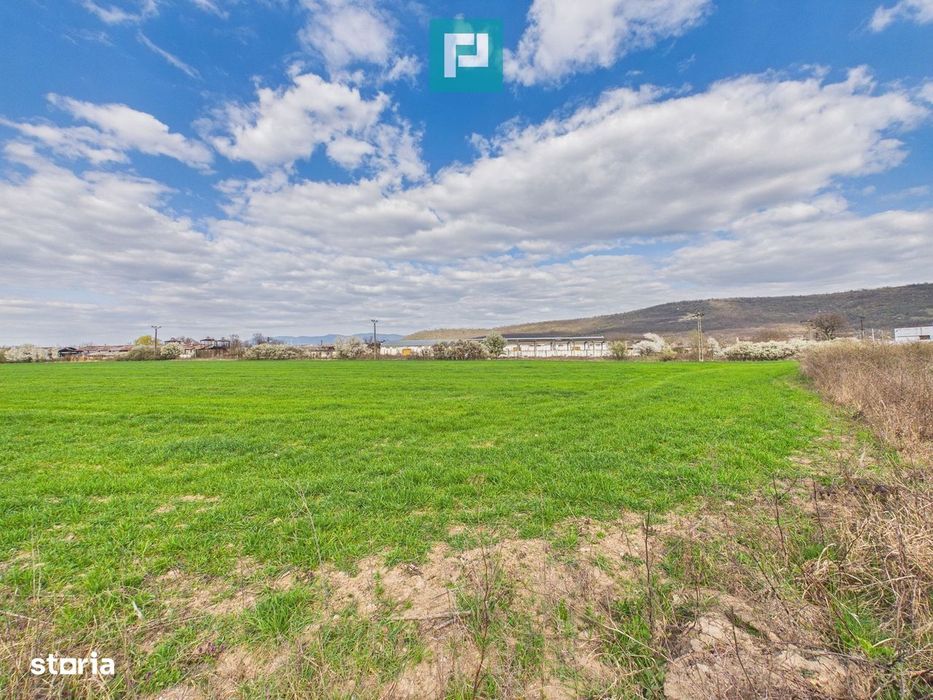 Teren extravilan, 1 ha, în orașul Sebiș, Arad
