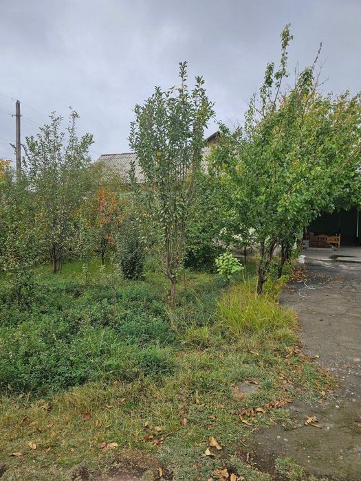 Shinam 22 sotixli xovli uy