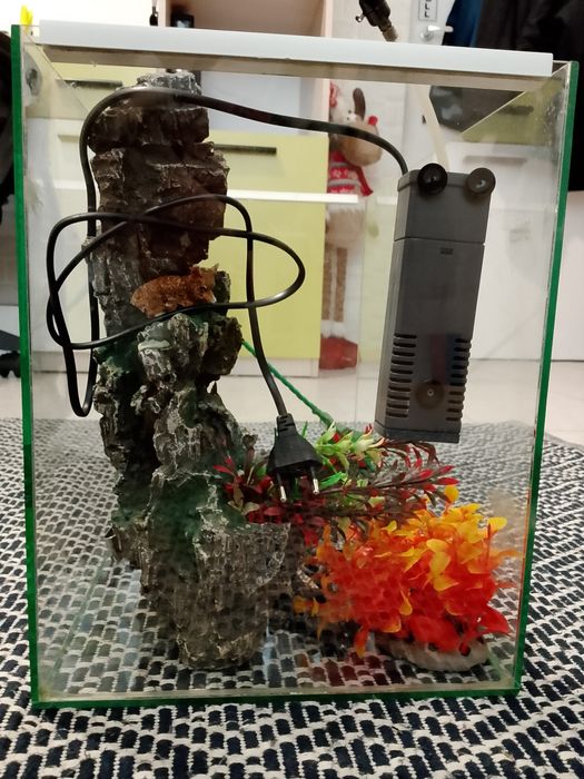 Аквариум 30 литра