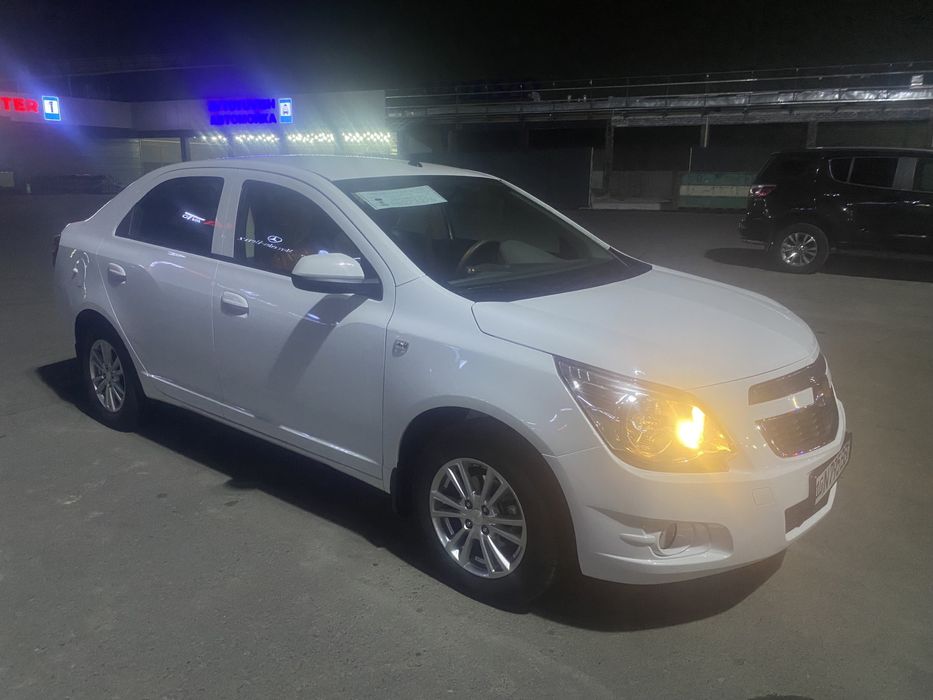 COBALT 2023 краска тоза 100%