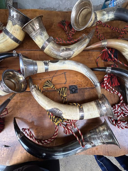 Колекция антични рогове