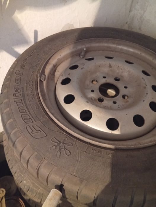 Продам гусиный жир