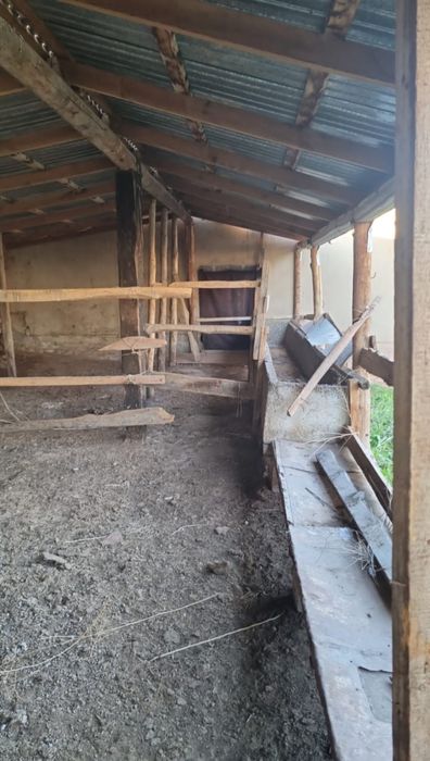 Фазенда, дача, үй