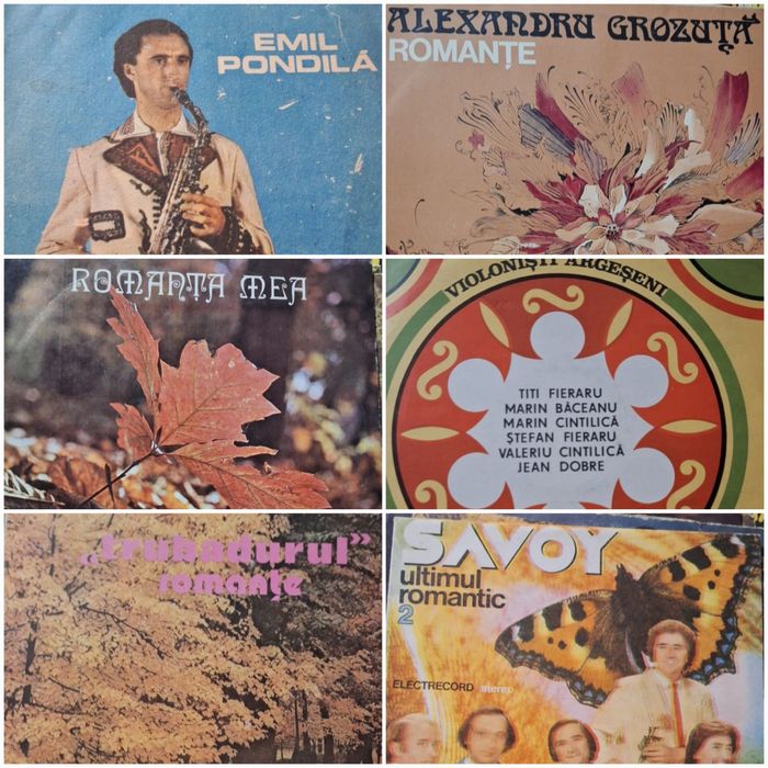 Discuri vinil interpreți români