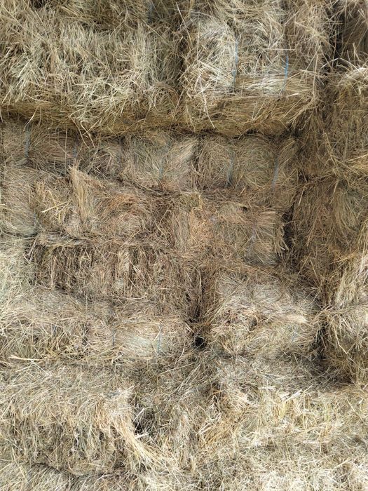 Vand baloti de lucerna