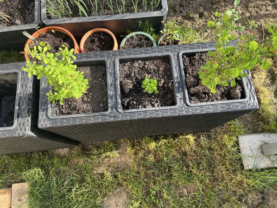 Jardiniera Jysk ratan