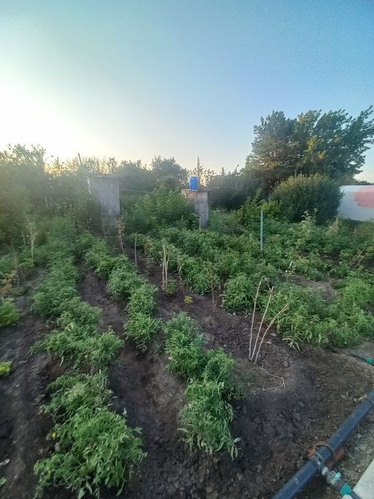 Продам дачу в районе саздинского водохранилища