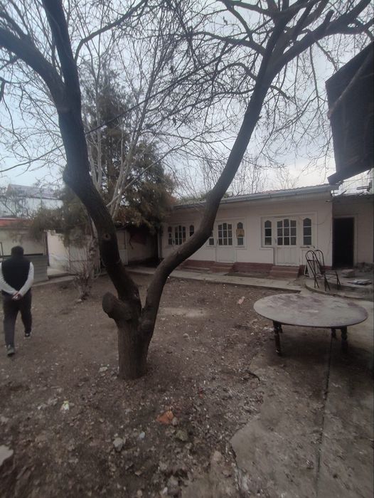 Arenda SERGILI Hovli