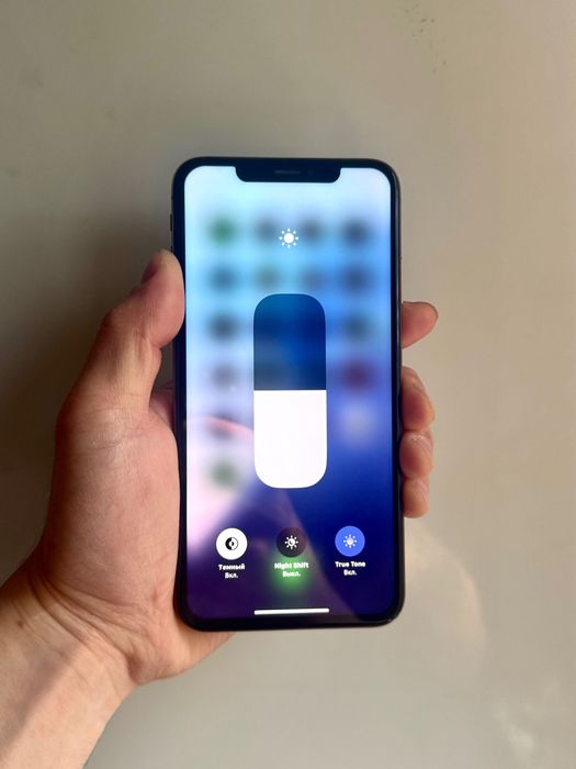 iPhone XS Max 64GB 100%
