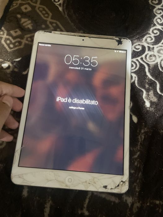 Vsusvehse di rjrjrhr