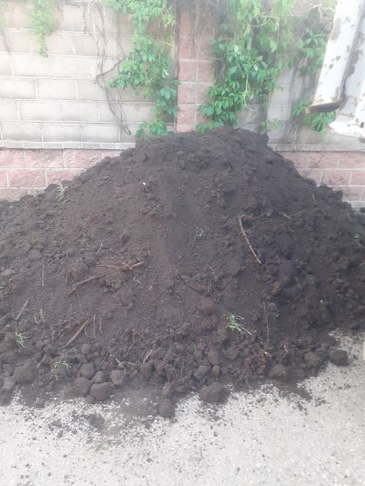 Черназем Черназем Черназем