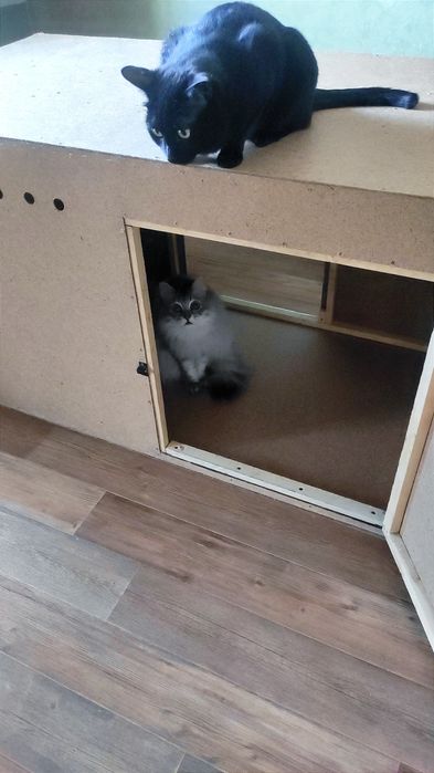 Будка для собаки