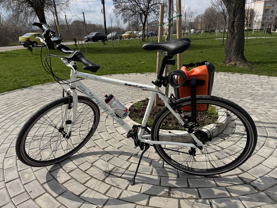 Adriatica Boxter Hybrid 29’