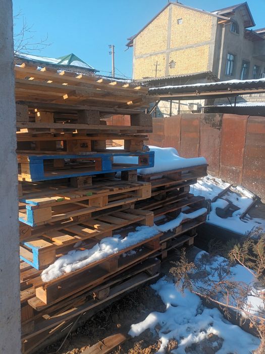 Paddon sotiladi yevro aralashiga 40.000 som