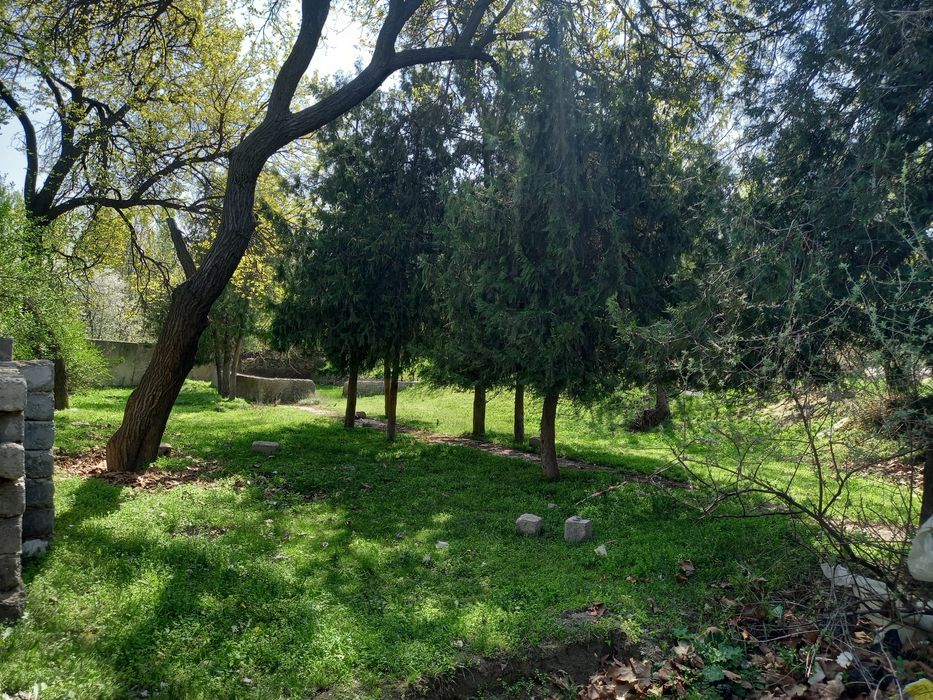 Uchastka 27 sotok Sharilloq mfy