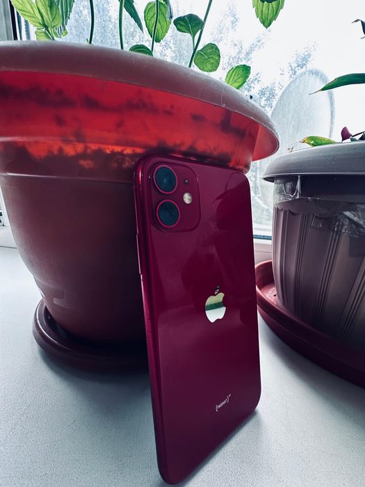 Iphone 11 оригинал